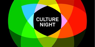 Culture Night in RCPI