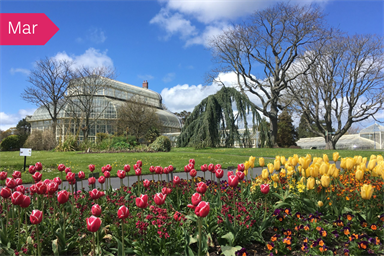 Saturday tour around the National Botanic Gardens, Glasnevin (Members & Fellows only)